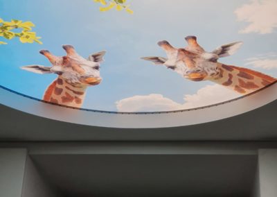Hochglanz und Mattspanndecken